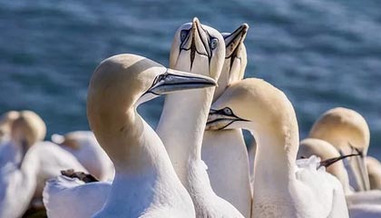 神话+午夜赛季地下城首轮测试调整